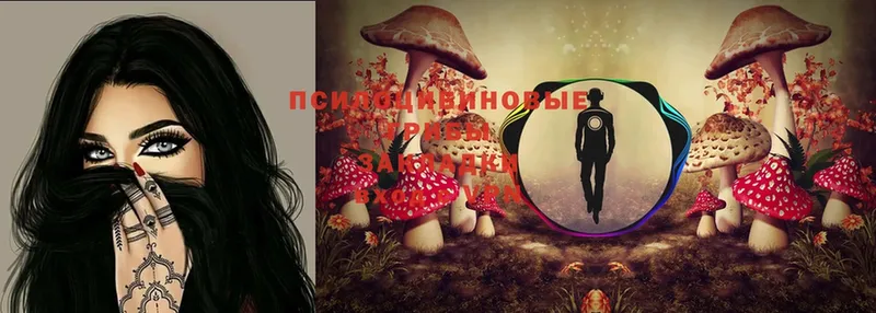 Галлюциногенные грибы Psilocybine cubensis  Алупка 